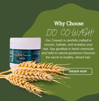 Fermented rice co-wash deep conditioner Ijo Natural Hair Products